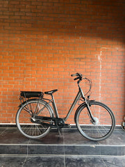 E-Bike Pedelec 28 Zoll 250W 3Gang Citybike