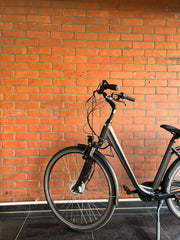 E-Bike Pedelec 28 Zoll 250W 3Gang Citybike