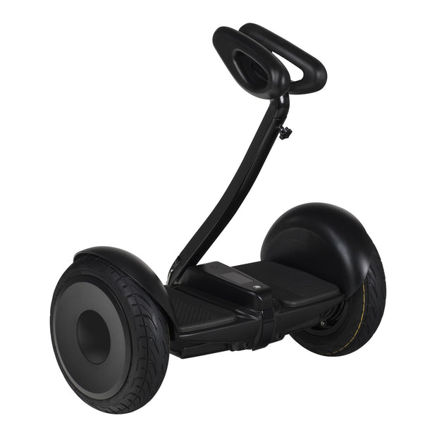 OhmBoard Segway