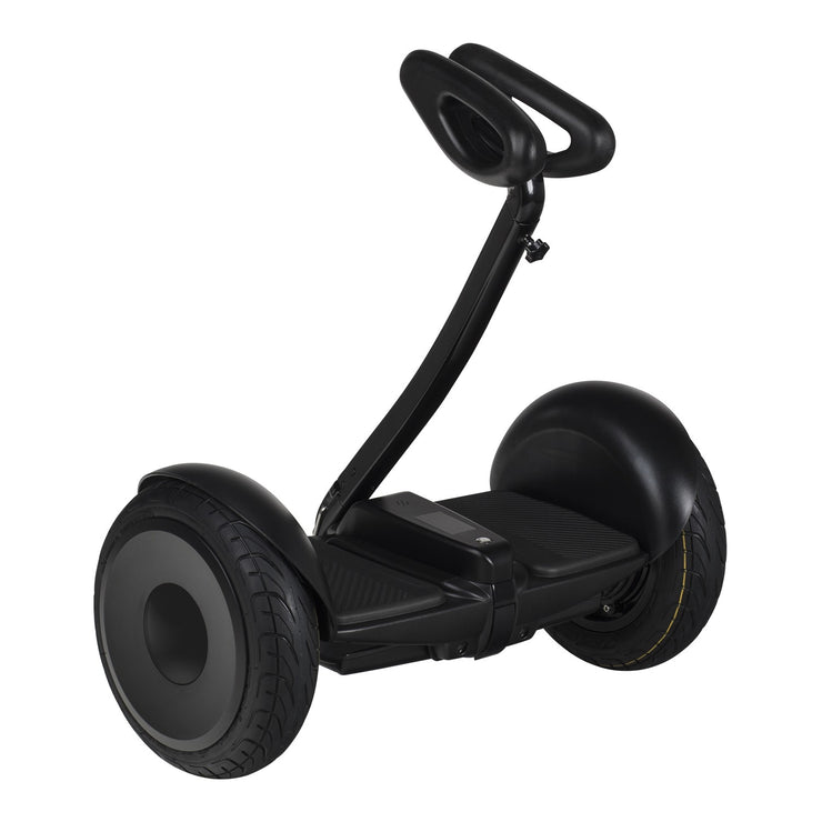OhmBoard Segway