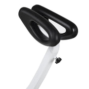 OhmBoard Segway
