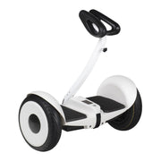 OhmBoard Segway