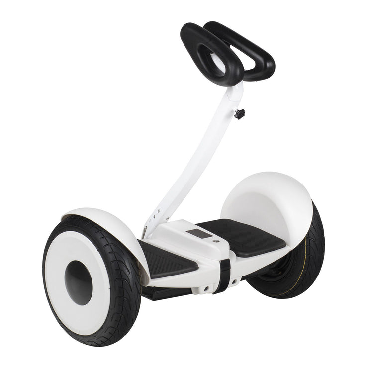 OhmBoard Segway