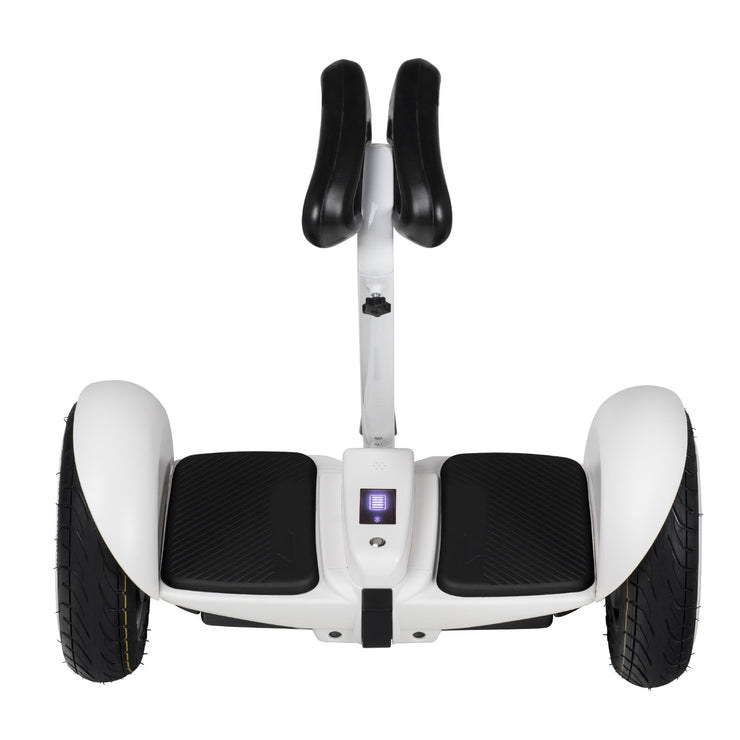 OhmBoard Segway