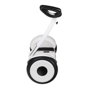 OhmBoard Segway