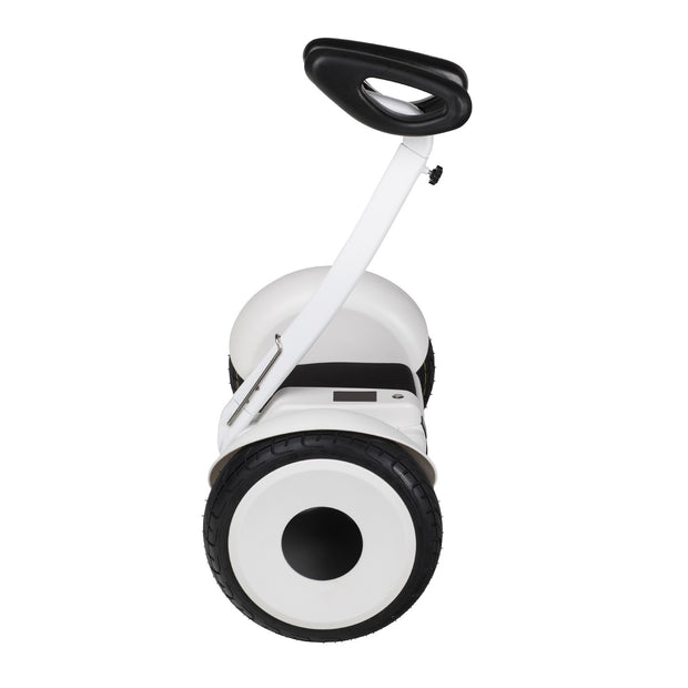 OhmBoard Segway