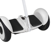 OhmBoard Segway